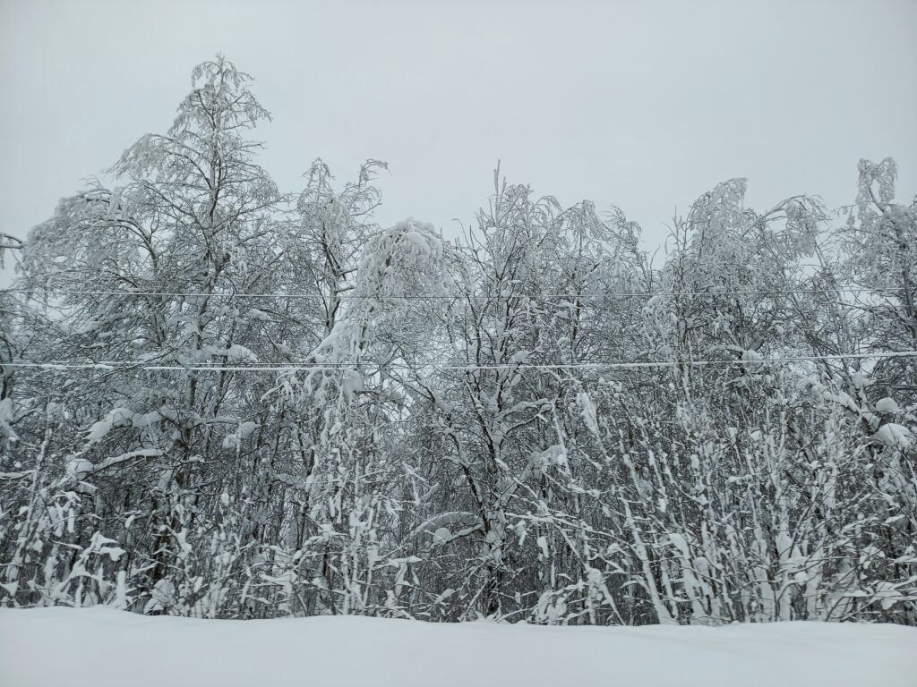    Фото: Ульяна Бажанова Ульяна Бажанова
