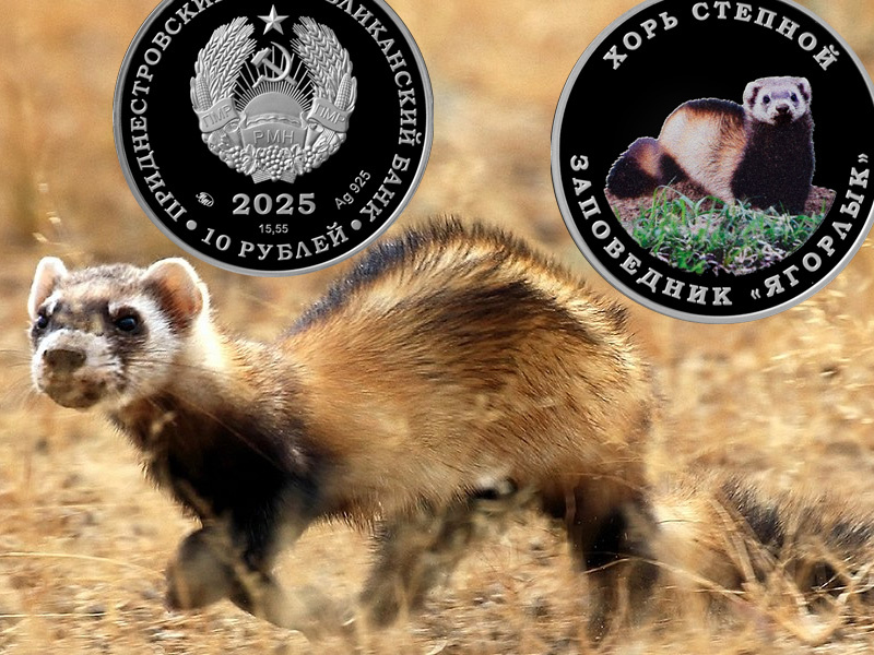 Монеты Приднестровья 10 рублей «Хорь степной» 2025 