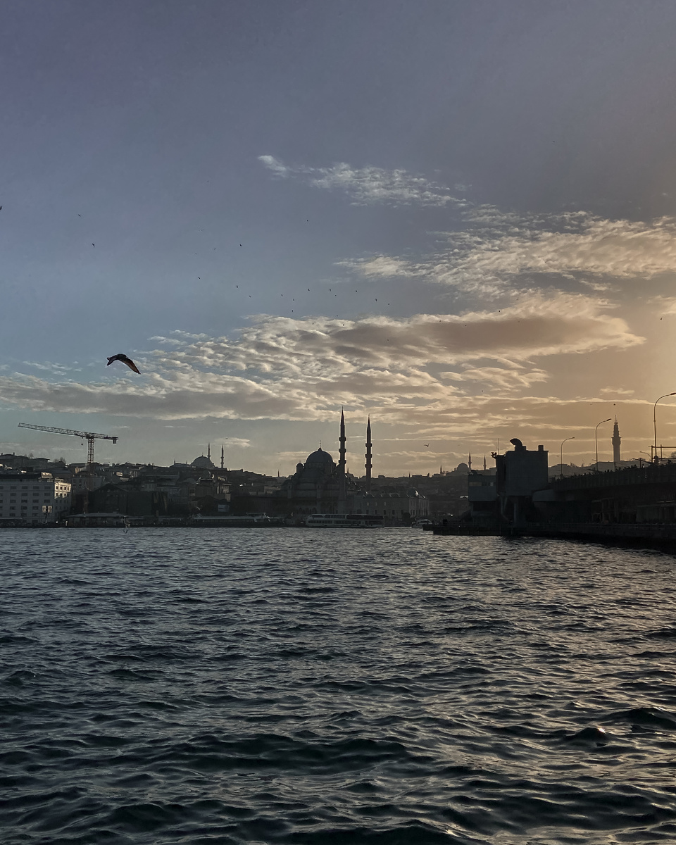 Стамбул. Вид на Босфор