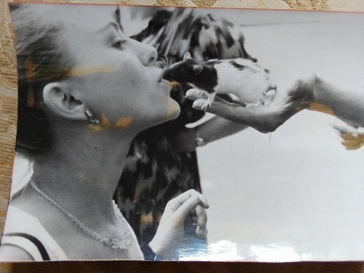 Крыска Варечка. Год, наверное, 1991...