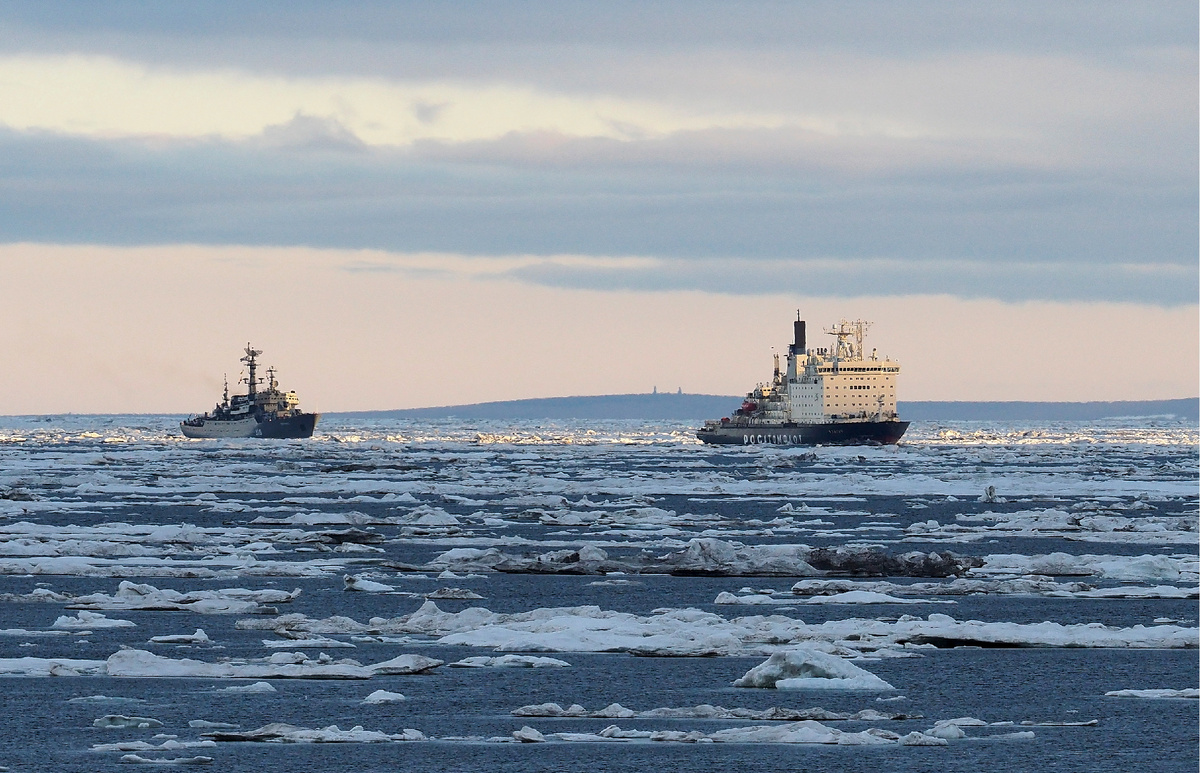 © Сергей Федюнин/ТАСС