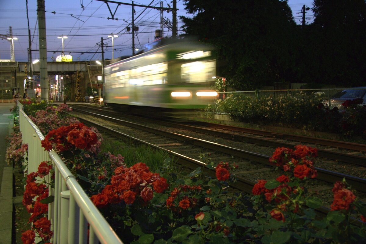 Найдено в интернете
