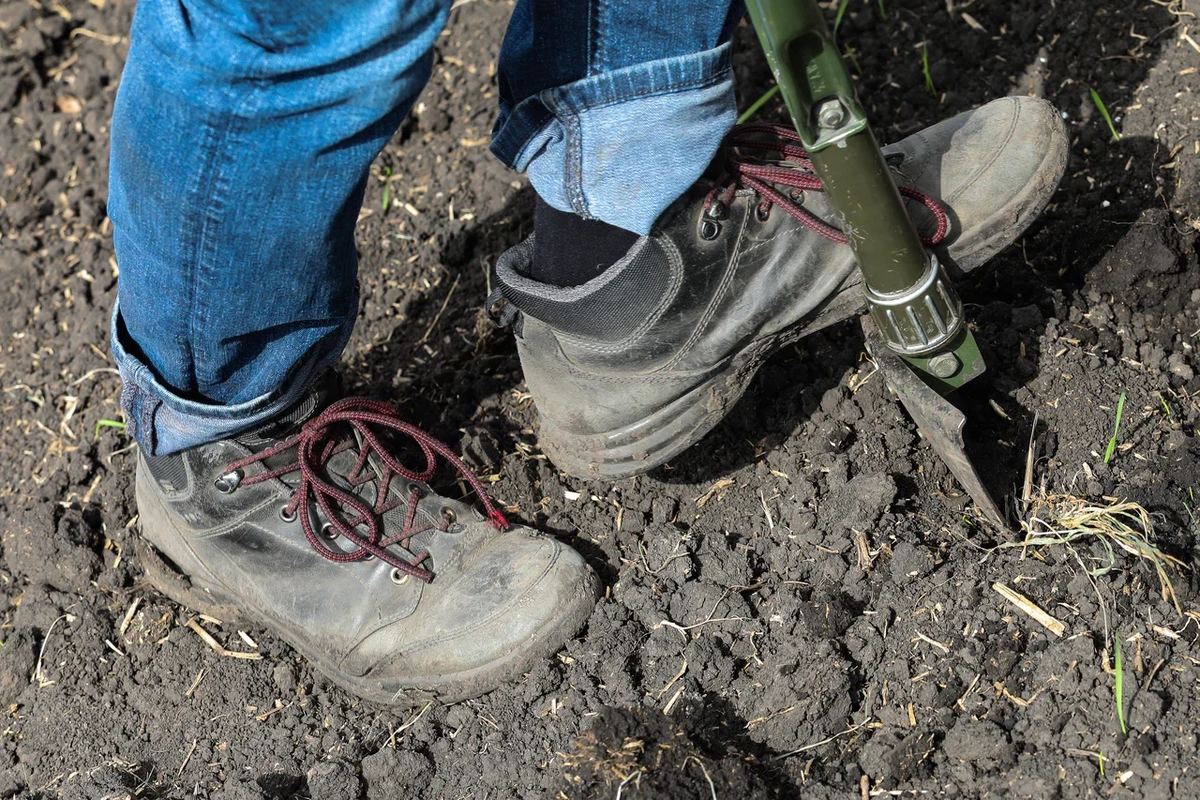 Источник: Поле.РФ