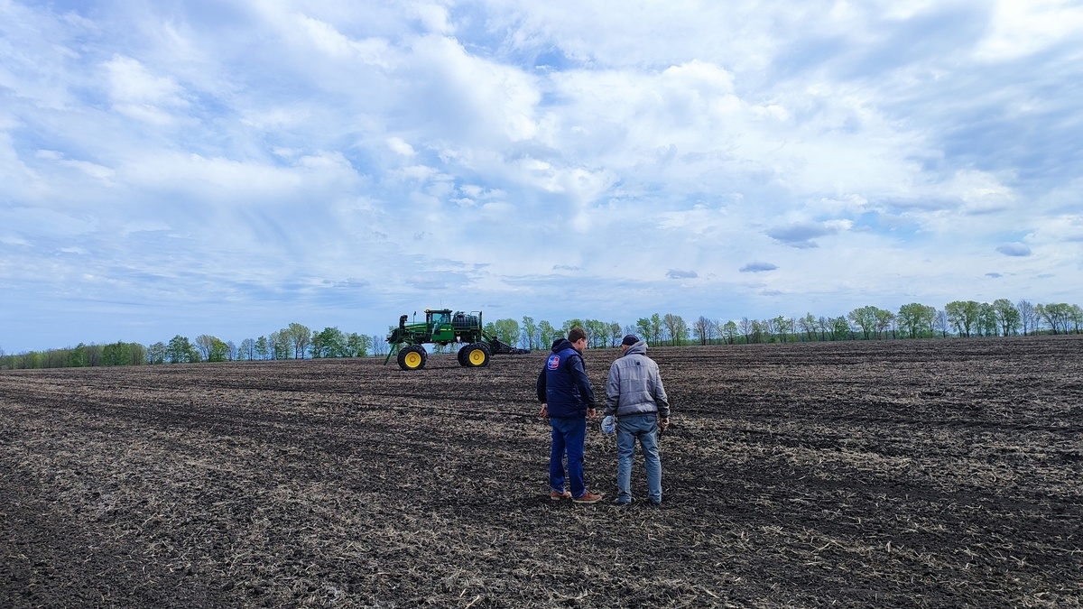 Источник: Поле.РФ