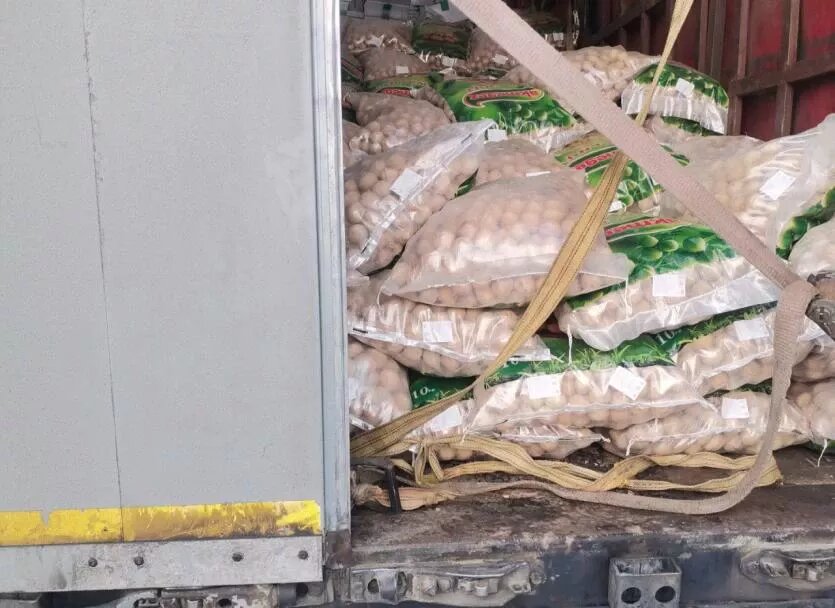 Фото: Уральское межрегиональное управление Россельхознадзора