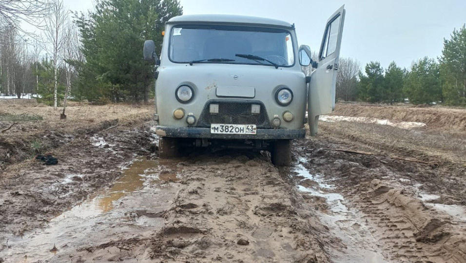 Фото newsler.ru.