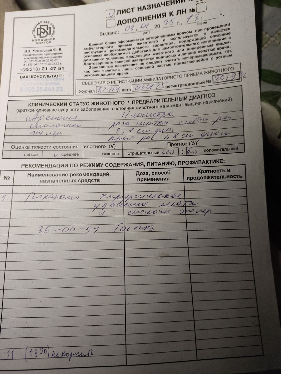 Ветеринар оставила такую бумагу(