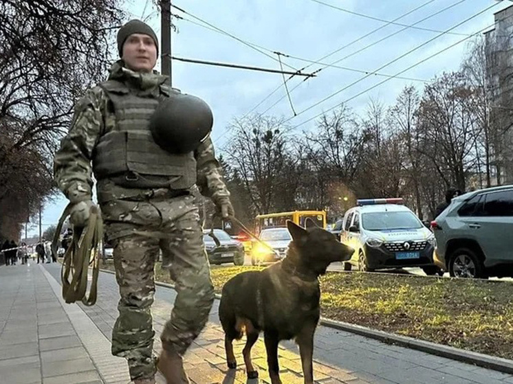 Фото: Соцсети