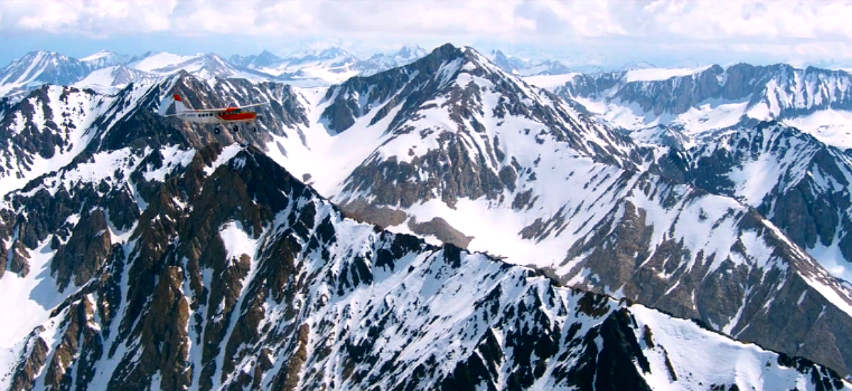 Кадр из фильма "Особо опасный пассажир".