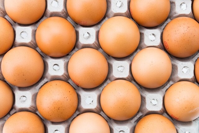 Фото: pixabay.com 