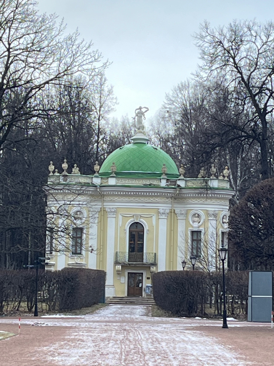 Фото автора. Вчера он выглядел вот так. Ссылку на историю я оставила. А мне хотелось поделиться впечатлением от выставки.