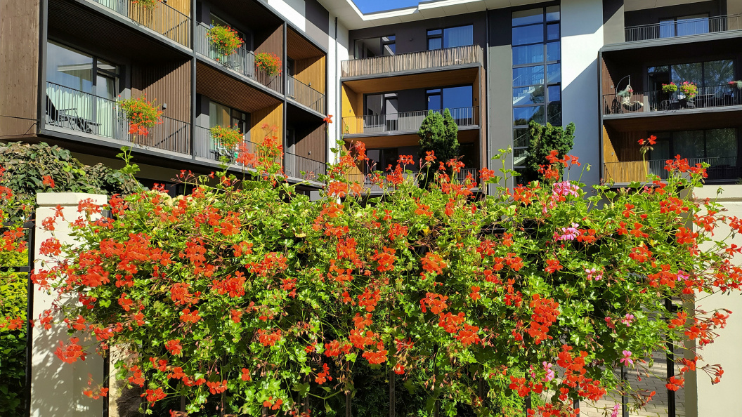    Victor Lisitsyn/Global Look Press