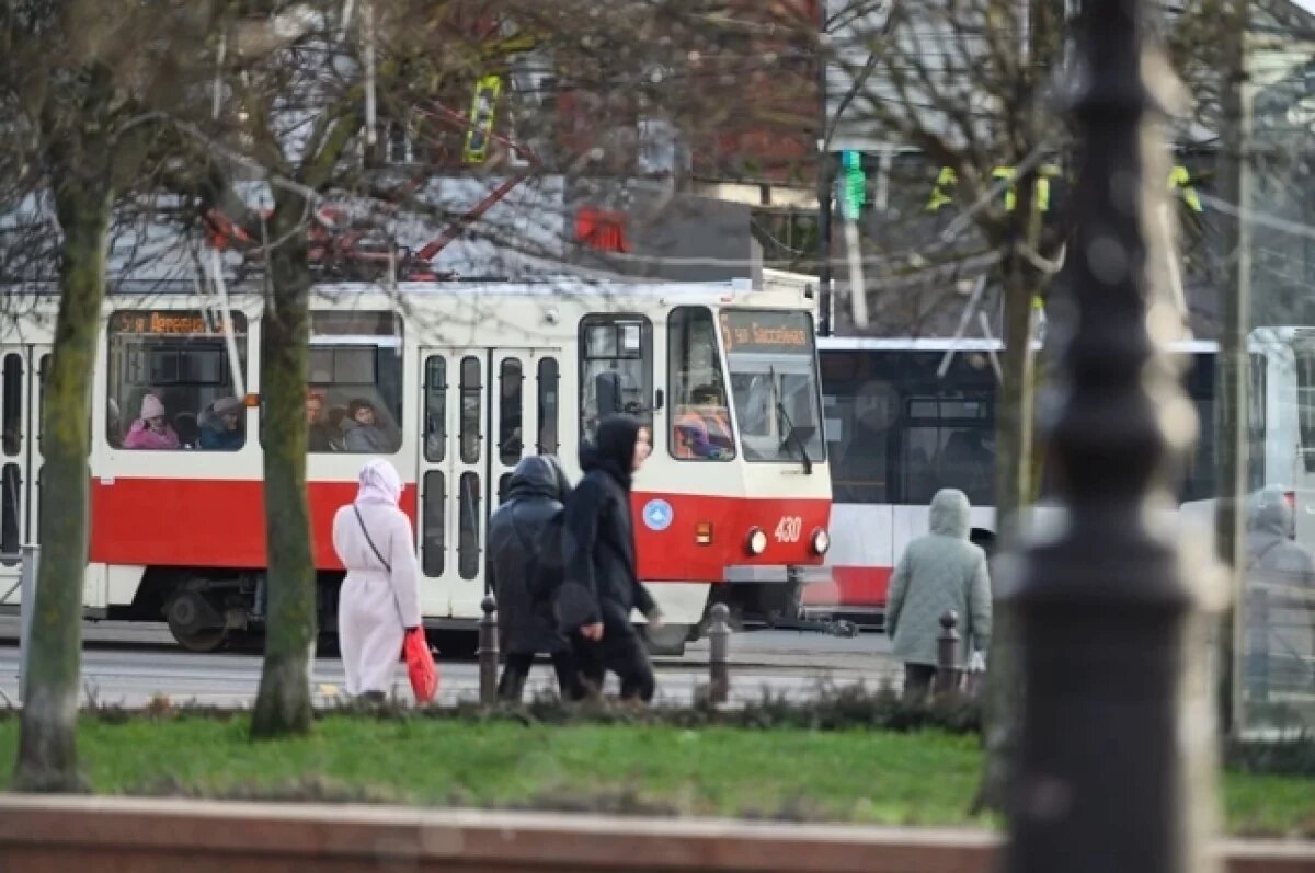    Ностальгия или целесообразность?