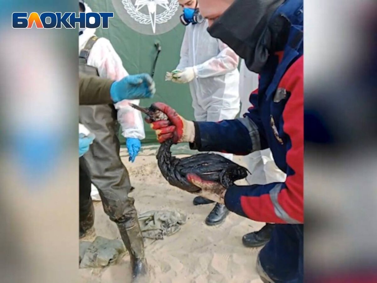 Фото: «Блокнот Донецк»