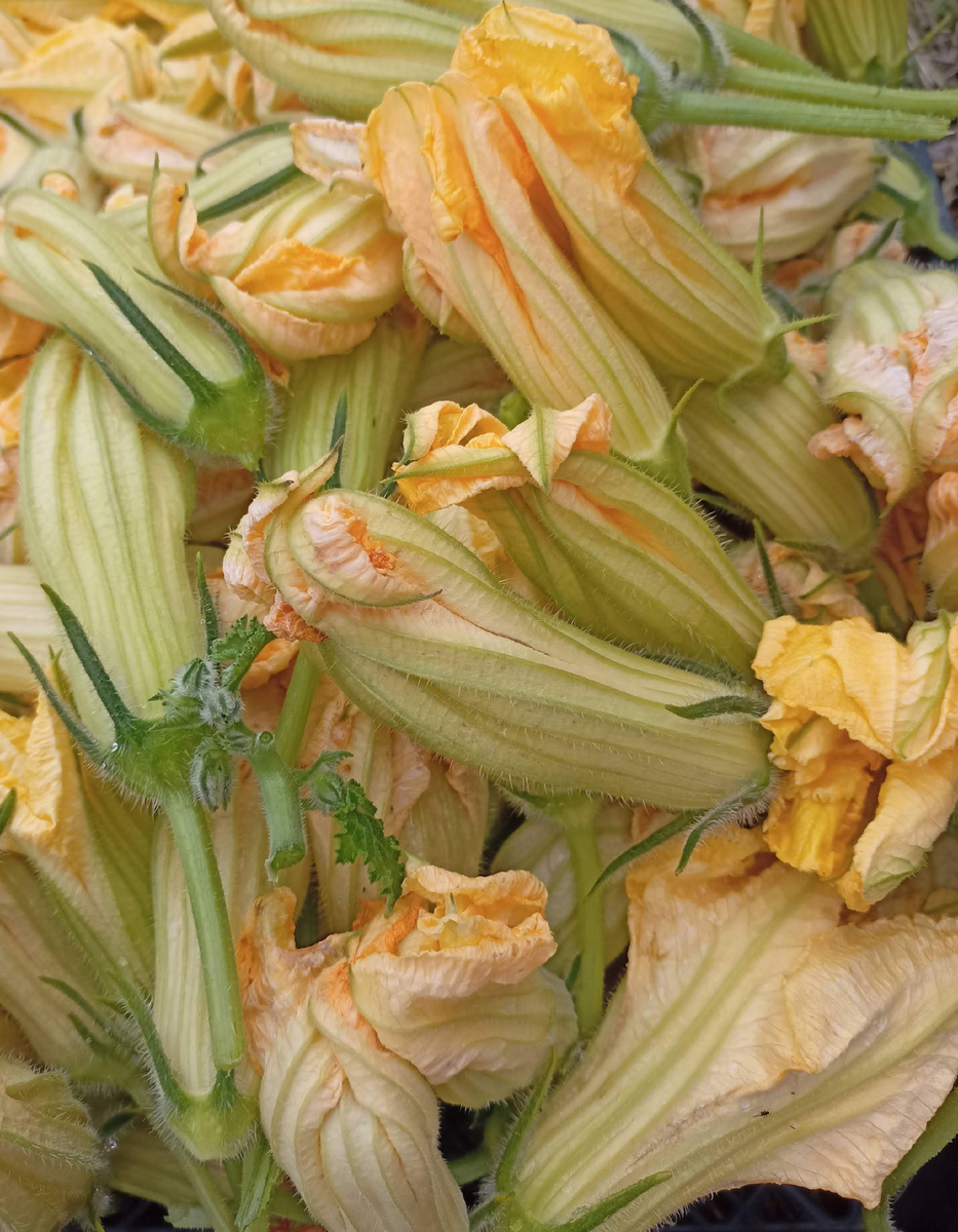 А раньше просто ходили мимо и не замечали прекрасный продукт