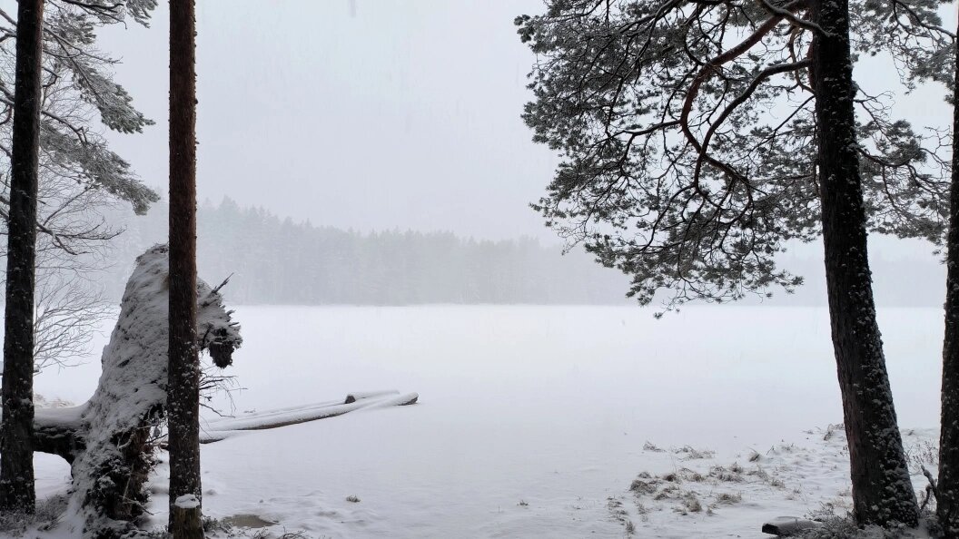    Фото: Maksim Konstantinov/Global Look Press