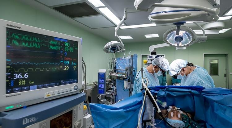 Фото: Павел Колядин