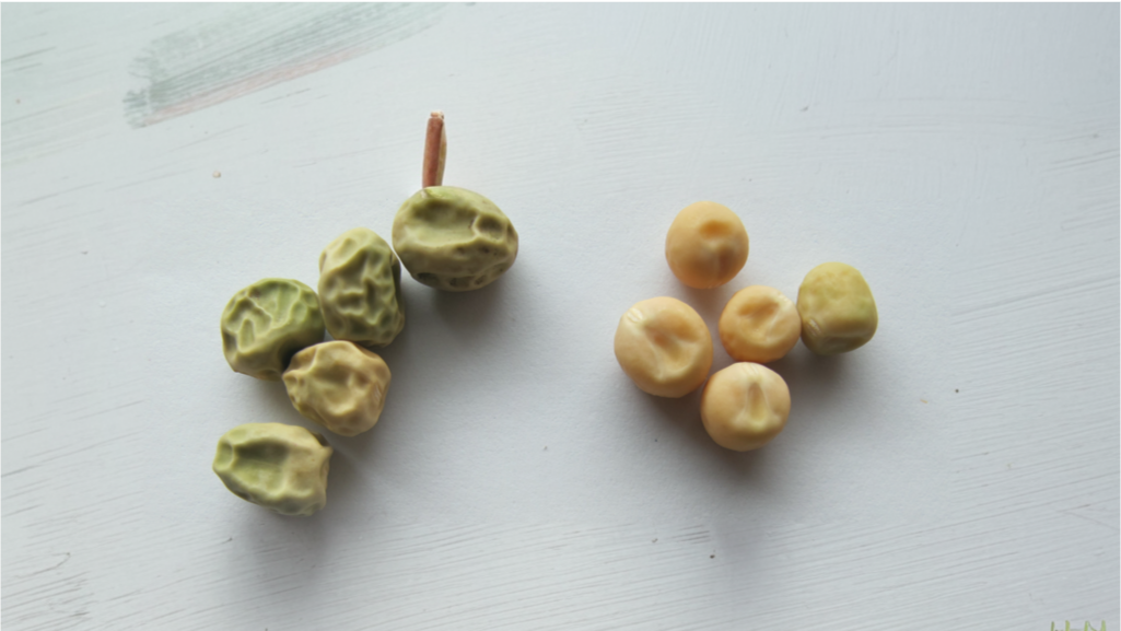 Изрображение сгенерировано Кандинский 3.1