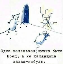 Картинка взята в свободном доступе в сети 