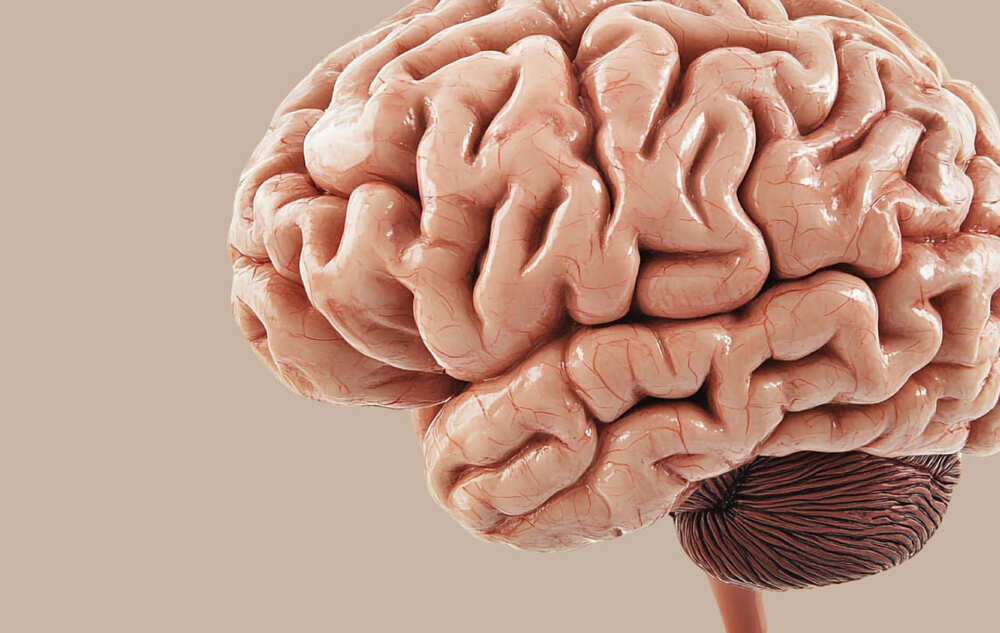 Источник: tohamina/Freepik