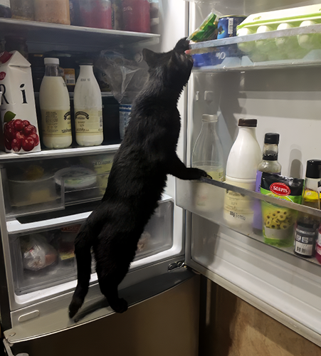 Не знаю что он собрался готовить, но оливки нужный ингридиент
