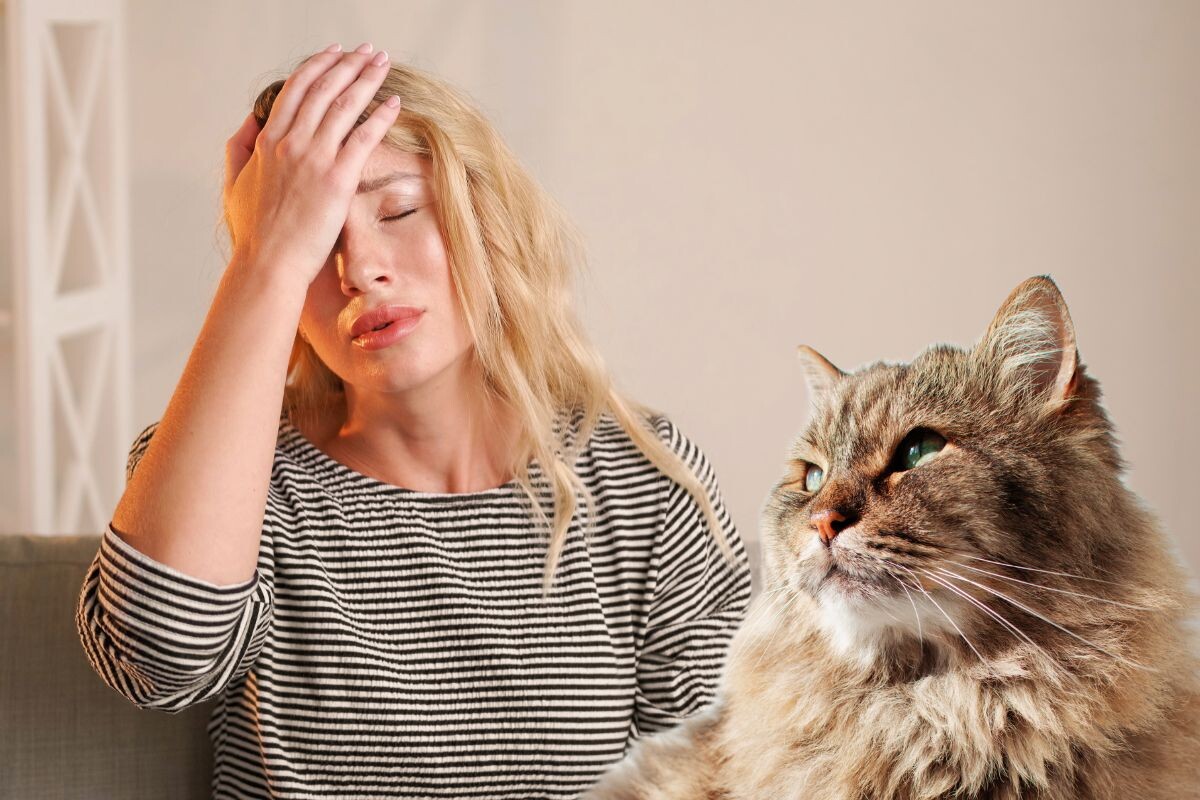 Почему кошка становится обузой