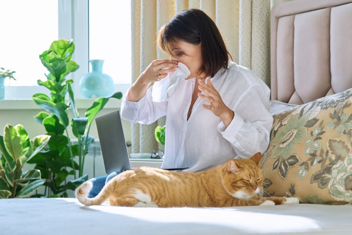 Аллергия на кошку 