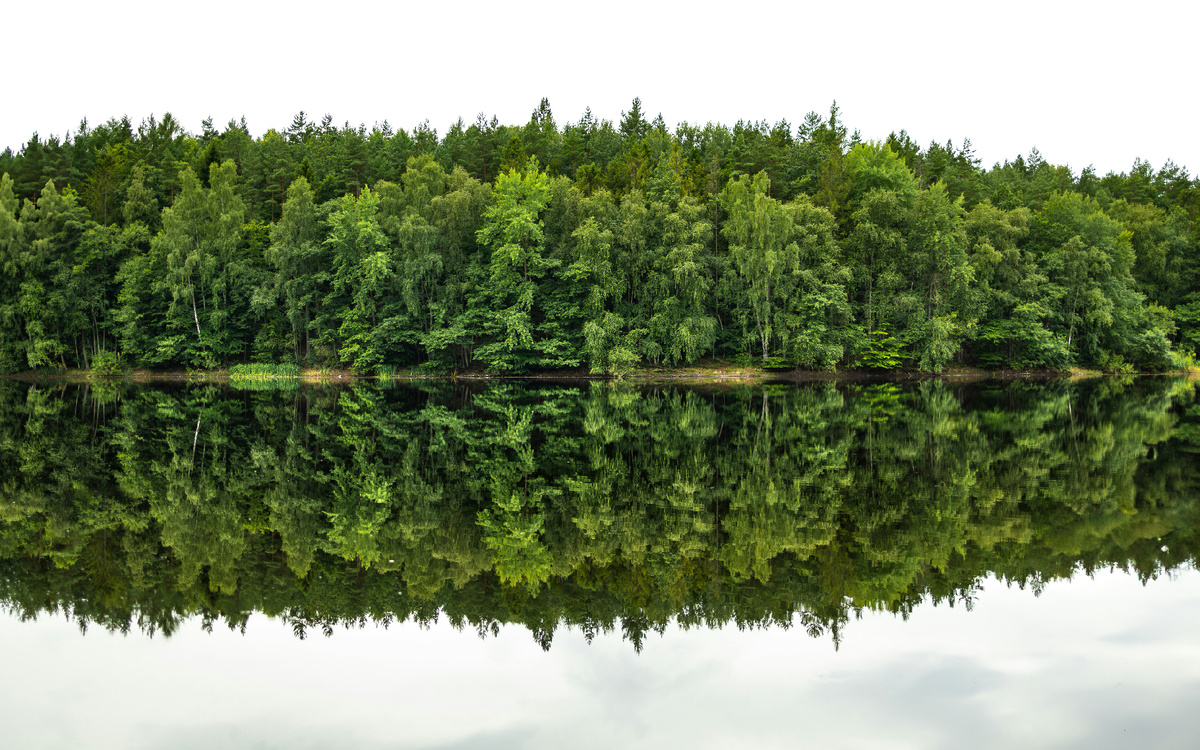 Картинка с бесплатного фотостока https://unsplash.com, автор Marek Piwnicki