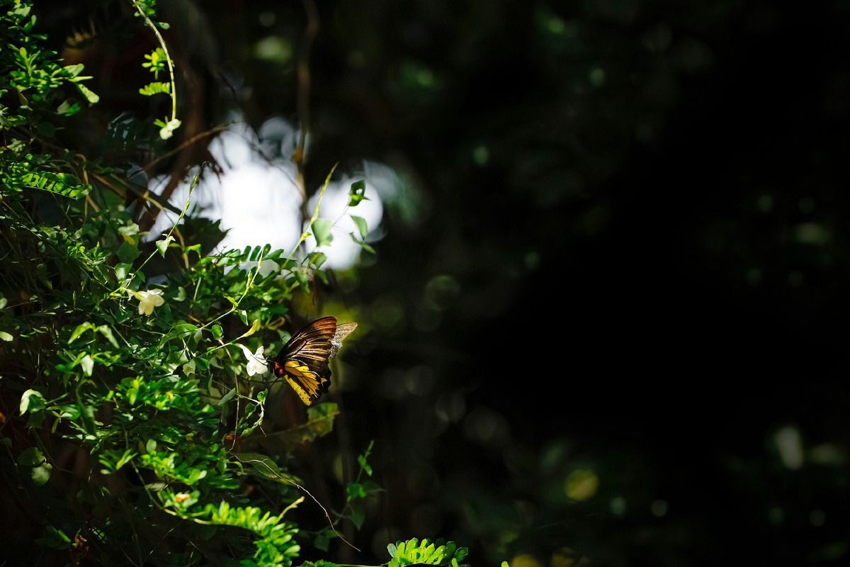 Картинка с бесплатного фотостока https://unsplash.com, автор Milin John