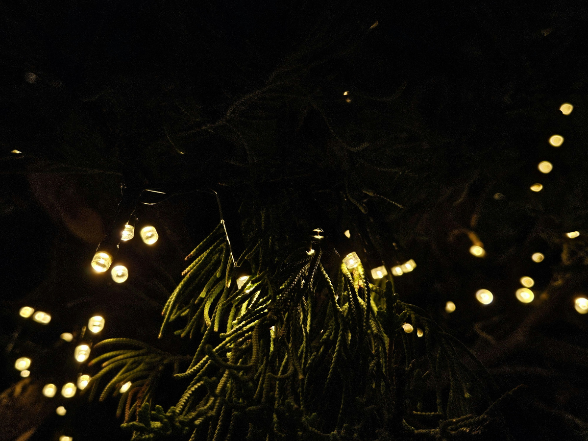 Картинка с бесплатного фотостока https://unsplash.com, автор João Rafael Chaves de Araújo Silva