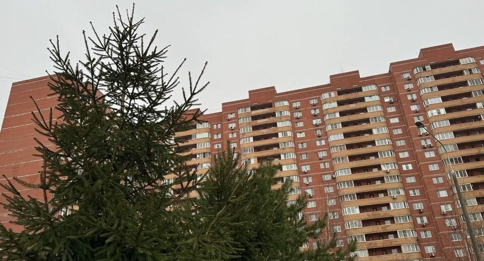    Источник: пресс-служба Министерства по содержанию территорий и государственному жилищному надзору Московской области