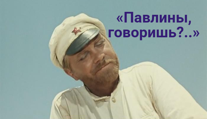 Кадр из истерна Мотыля «Белое солнце пустыни»