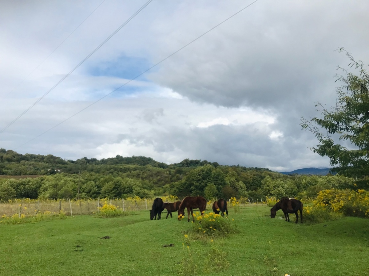 По пути на источники. Фото автора.
