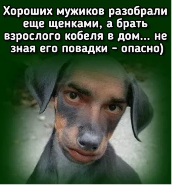 яндекс.картинки