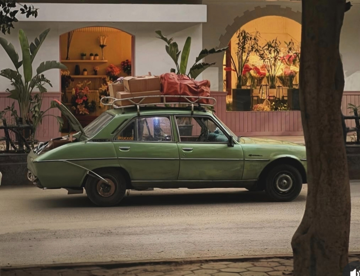 Социальное неравенство Египта