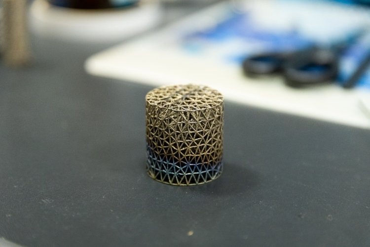    Фото: scientificrussia.ru Георгий