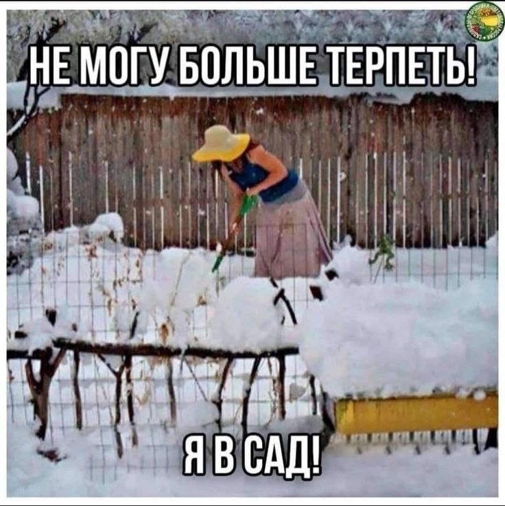 С просторов интернета 