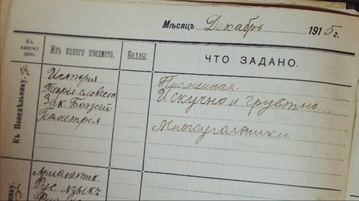 Какими были ученики царской России: изучаю дневник одного из них, задачи по арифметике и темы сочинений