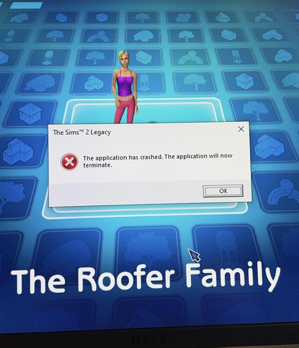 Пример сообщения о сбое в переиздании The Sims 2. Изображением поделился пользователь Reddit с ником Whale_Bonk_You