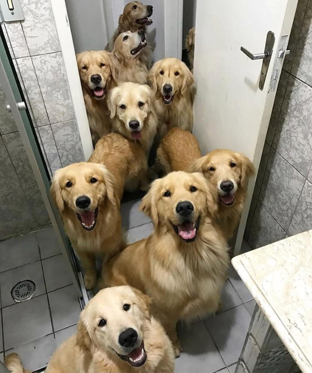    «Ой, ты хотел искупаться? А мы с тобой, можно?»