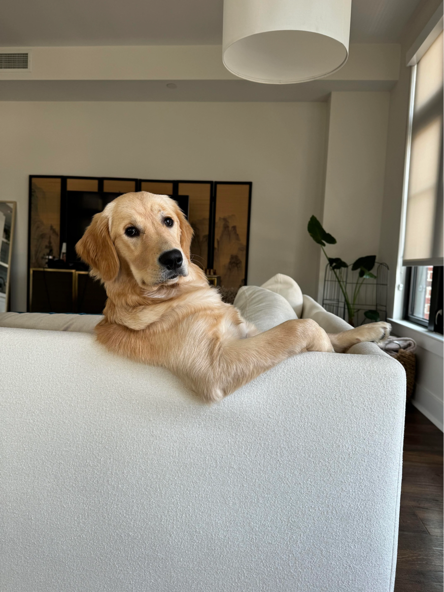    «Дорогая, а не купить ли нам яхту сегодня?»