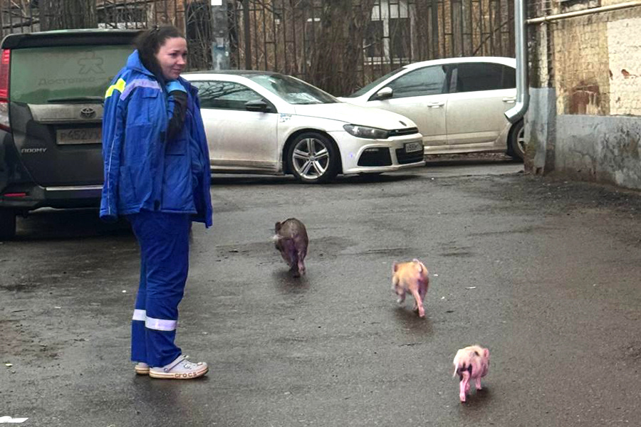    © t.me/gku_mo_mosoblpojspas