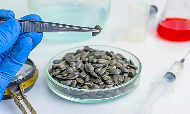    Фото t.me/rsn_yug