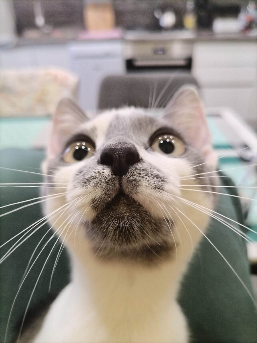 Яшка подрос) 