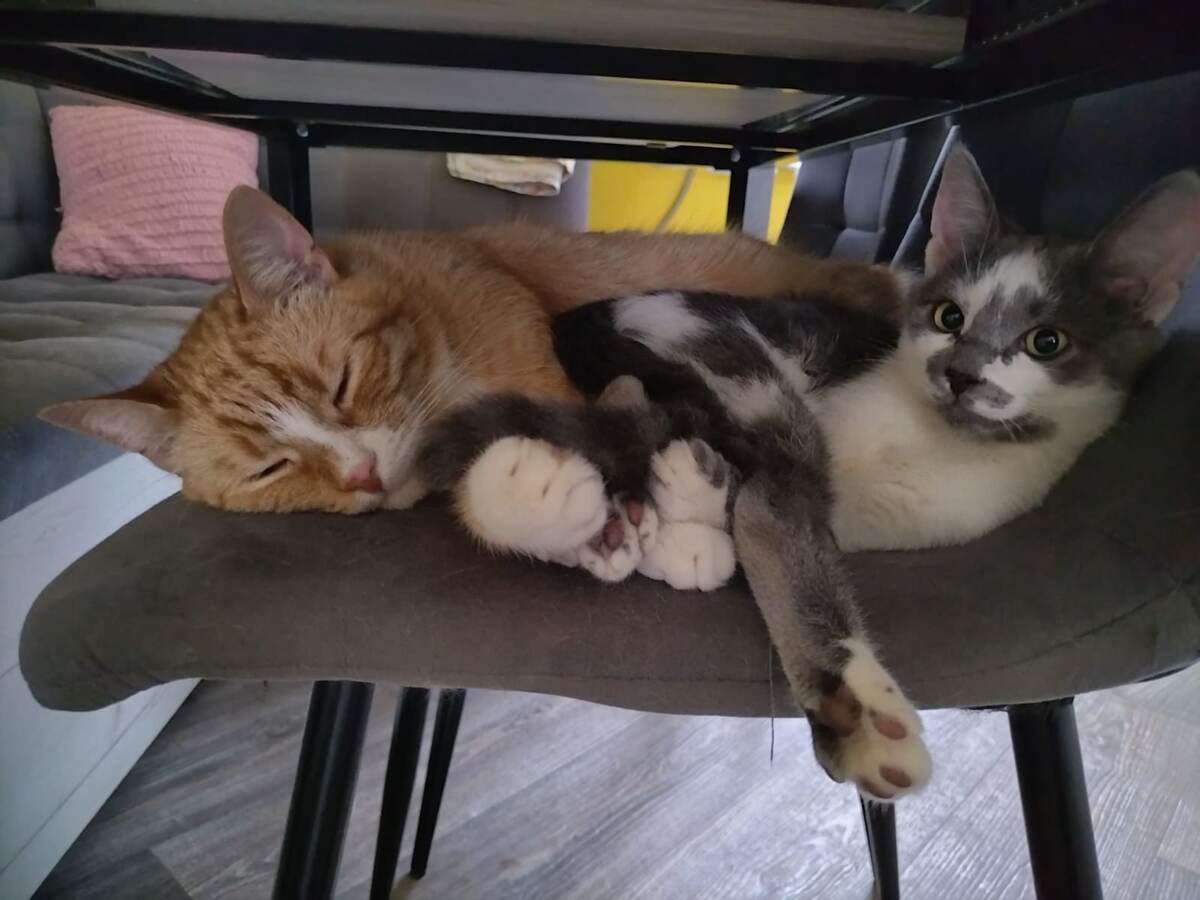 Сладкая парочка