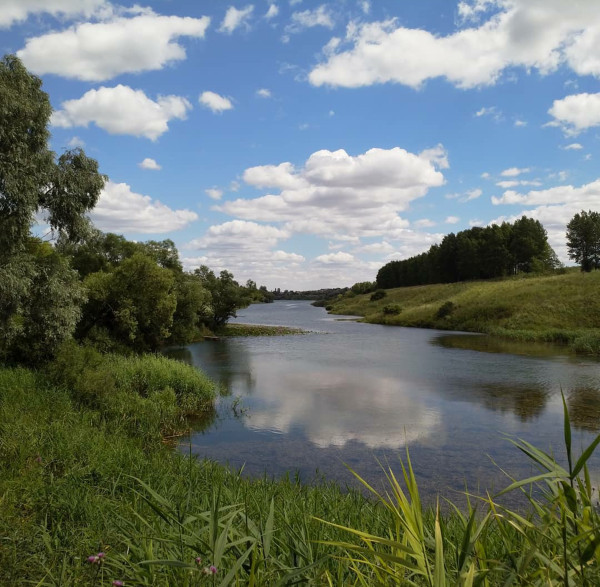 Это в будний день так пусто. В выходные жизнь на пруду кипит