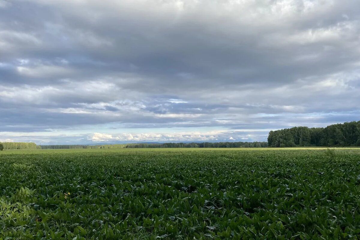 Фото: UfacityNews.ru