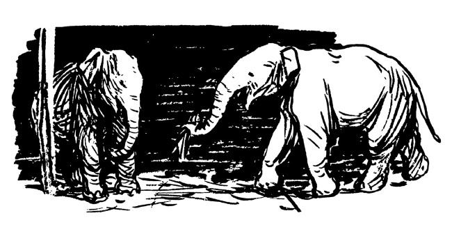 Иллюстрация Леонида Каюкова. Фото взято из открытых источников в сети Интернет.