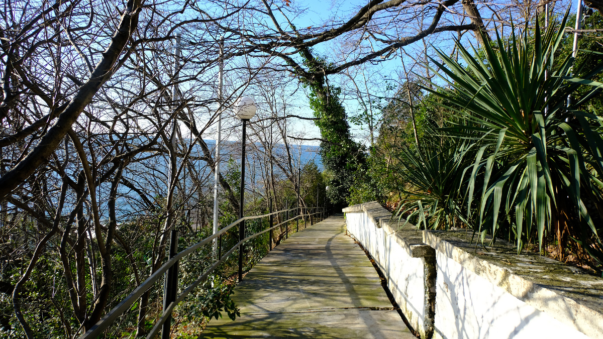 Вид на Чёрное море со склонов Приморского парка в центральном Сочи