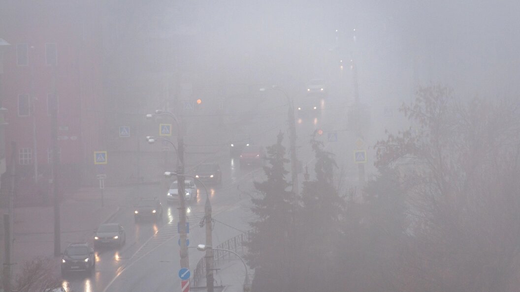    Svetlana Vozmilova/Globallookpress